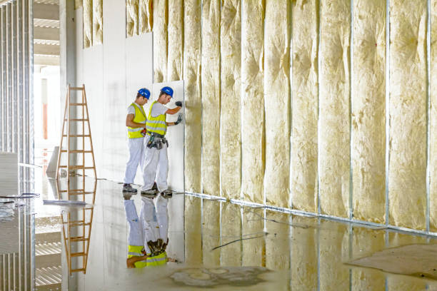 Garage Insulation Installation in Long Neck, DE